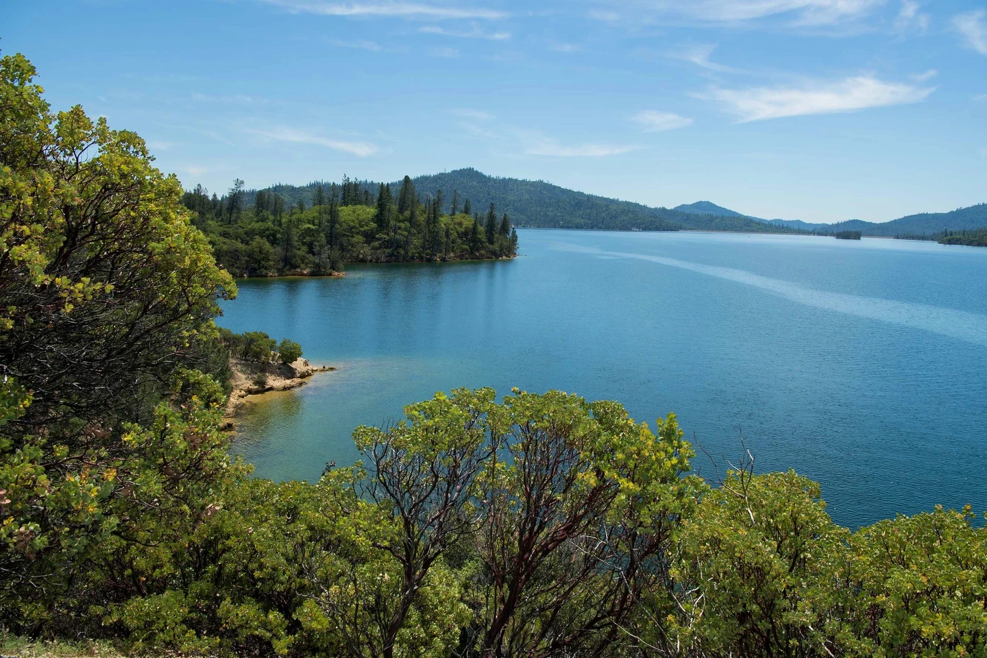 California Fishing Reports - January 2026