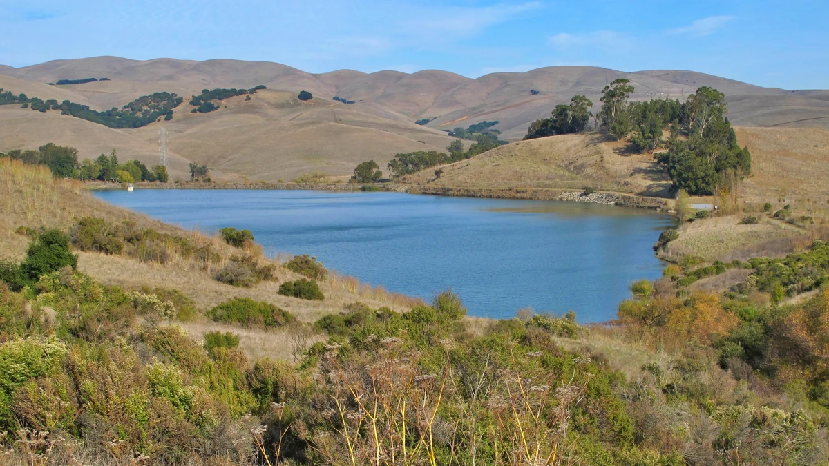 Lake Herman Fishing Report (Latest Updates)