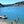 Lake Chabot, California