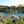 Lake Tulloch, California