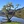 Soulajule Reservoir, California
