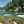 Kings River, California