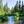 Mccloud River, California