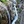 Lone Pine Creek, California
