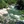 Mokelumne River, California