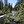 Burney Creek, California