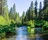 Mccloud River, California