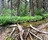 Deadman Creek, California
