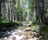 Nacimiento River, California