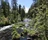 Burney Creek, California