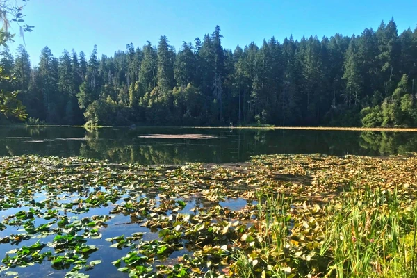 Fish Lake, California