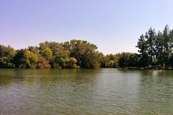 Woodwood Park, California
