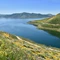 Diamond Valley Lake Fishing